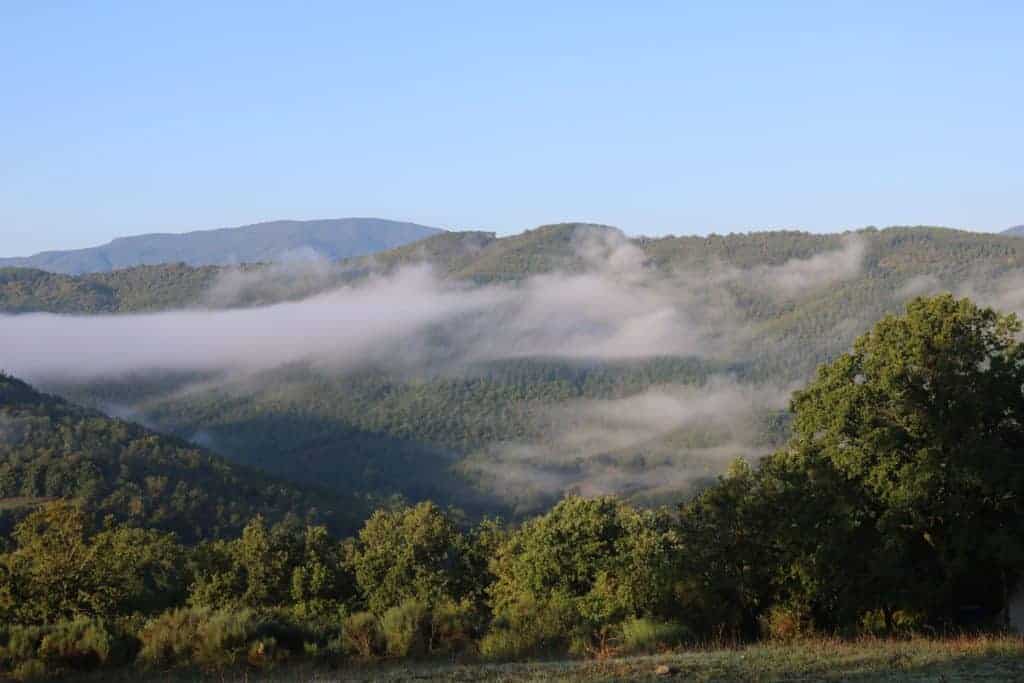 Nebelschwaden Toscana